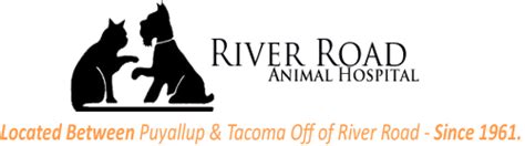 river road animal hospital wa